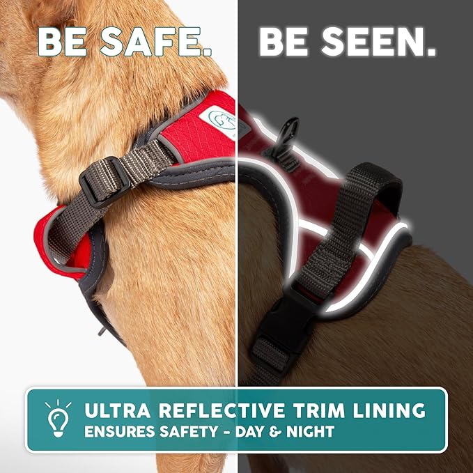 Embark Adventure Dog Harness, Reflective Trim No Pull Dog Harness Medium Sized Dogs - Military Grade Nylon, Front Clip with Gel Lined Handle.