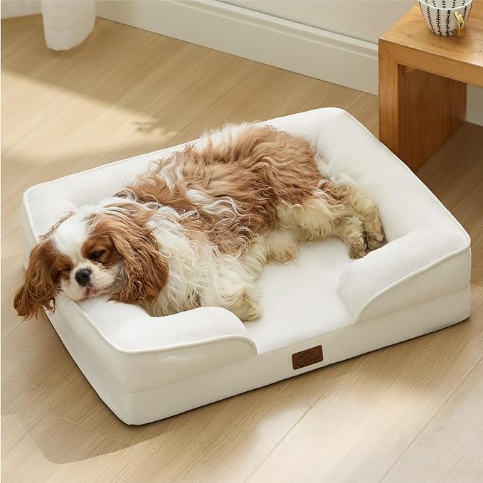 Bedsure Orthopedic Dog Bed for Medium Dogs - Waterproof Dog Sofa Beds Medium, Supportive Foam Pet Couch Bed with Removable Washable Cover, Waterproof Lining and Nonskid Bottom, Ivory