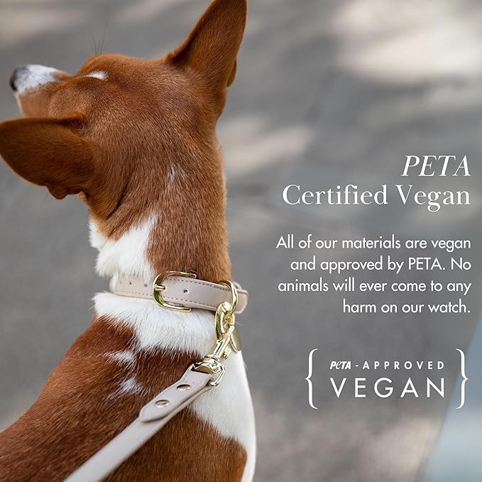 Copenhagen Leather Dog Collar - Handmade with Vegan Soft Leather Round Padded Collar with Adjustable Buckle for Extra Small, Small, Medium, and Large Dogs - Color Beige, Small