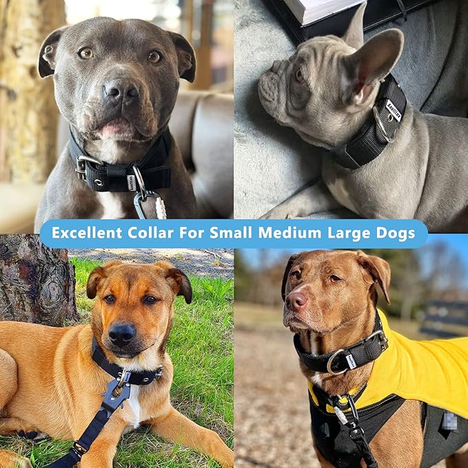 Heavy Duty Tactical Dog Collar - 1.5" Width Military Durable Thick Nylon with Adjustable Metal D Ring & Buckle Working Training K9 Collar for Medium Large Dogs (M(17"-20"), Black)