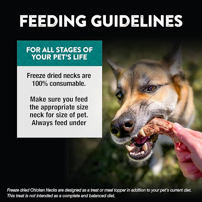 Northwest Naturals Raw Rewards Freeze-Dried Chicken Neck Treats for Dogs and Cats - Bite-Sized Pieces - Healthy, 1 Ingredient, Human Grade Ingredients, All Natural, Made in USA, 4 Oz (Pack of 3)