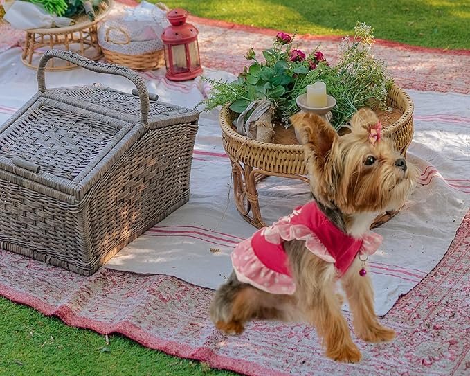 XPUDAC 4 Pieces Pet Dog Dress Shirt Puppy Skirt Cute Doggie Dress Summer Clothes Dog Apparel for Small Dogs and Cats (Pink Angel, Large(12-19 Lbs))