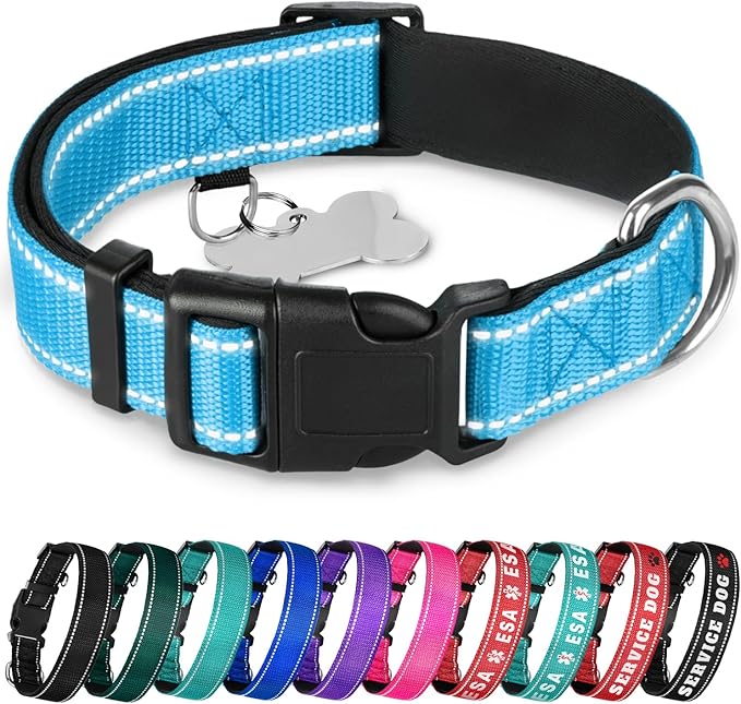 TECEUM Reflective Pet Collar – Sky Blue – L – Extra Soft Padding – Basic Nylon Dog Collar – Quick Release Buckle – Fits Small, Medium and Large Dogs, Puppies, Cats – ESA & Service Dog Options
