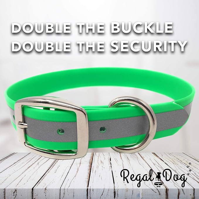 Regal Dog Products Medium Lime Green Reflective Dog Collar and Leash Set - Waterproof Biothane Dog Collar with Heavy Duty Double Buckle, D Ring & 5ft Leash - Other Size for Medium & Large Dog
