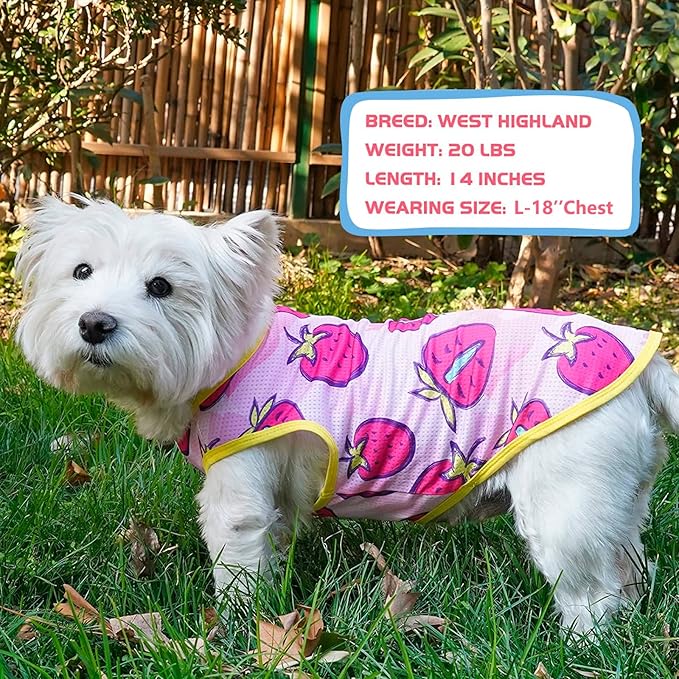 KYEESE 2 Pack Dog Shirt for Medium Dogs Breathable Lightweight T-Shirts with Reflective Label Tank Top Great for Summer Sleeveless Vest Dog Apparel Sun-blocking Strawberry Pattern, 2L, Strawberry+Rose
