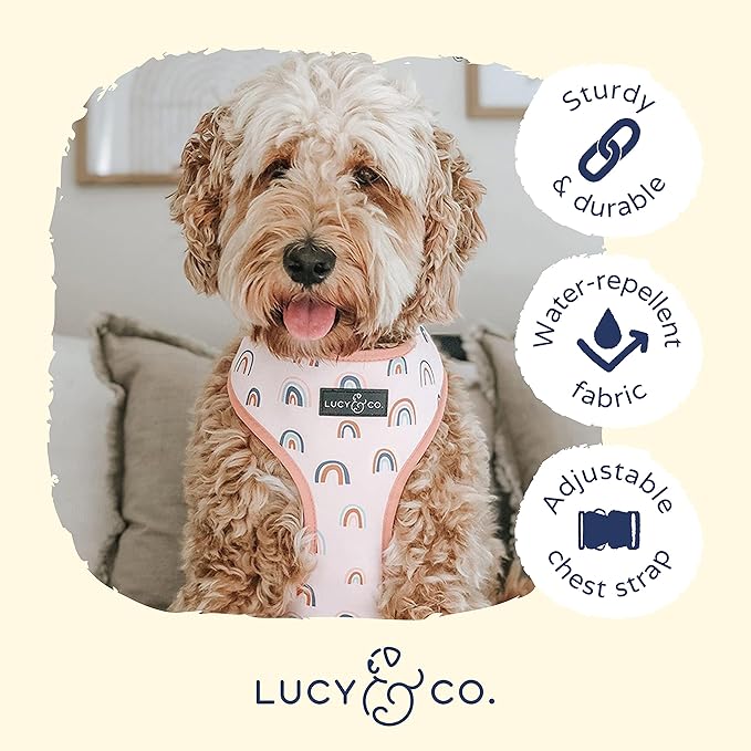 Lucy & Co. in The Clouds, Cute Reversible Dog Harness Walking Halter - Best Designer Pet Harnesses for Medium Dogs - Padded Adjustable Vest for Easy Walking (Small)