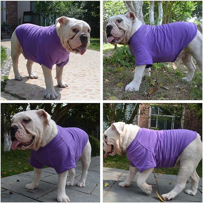Lovelonglong Bulldog Clothes Dog Clothing Blank T-Shirt Tee Shirts for French Bulldog English Bulldog American Pit Bull Pugs 100% Cotton Skin Care Purple B-M
