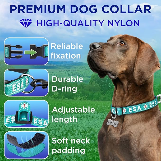 TECEUM Reflective Pet Collar – Teal - ESA – S – Extra Soft Padding – Basic Nylon Dog Collar – Quick Release Buckle – Fits Small, Medium and Large Dogs, Puppies, Cats – ESA & Service Dog Options