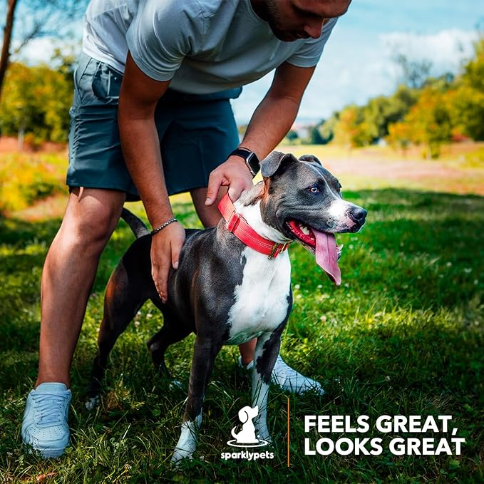 SparklyPets Heavy Duty Wide Dog Collar with Quick Release Chrome Buckle – Thick Tactical Dog Collar with Reflective Stripes & Soft Lining – for Large & Medium Breeds