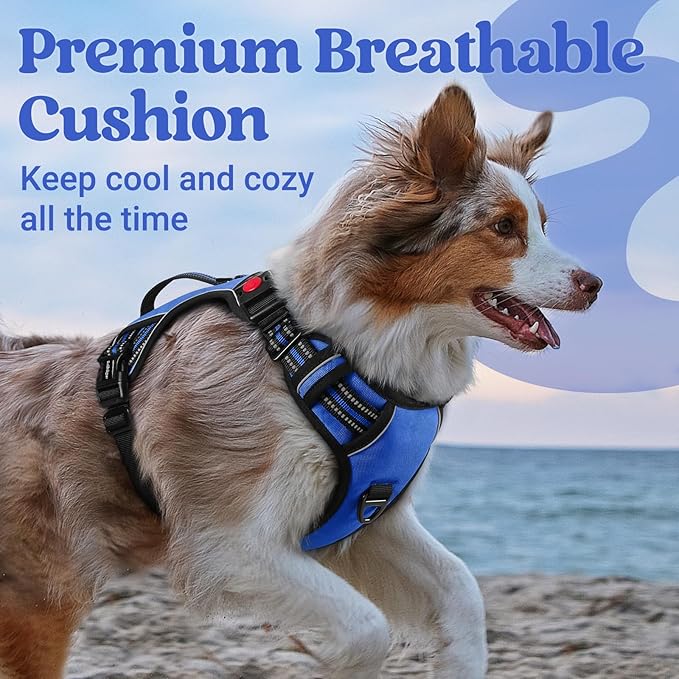 rabbitgoo Dog Harness for Large Dogs, No Pull Pet Harness with Soft Padded Handle, Adjustable Reflective Vest with 3 Buckles, Easy Walking Harness with 2 Leash Clips, Blue, L
