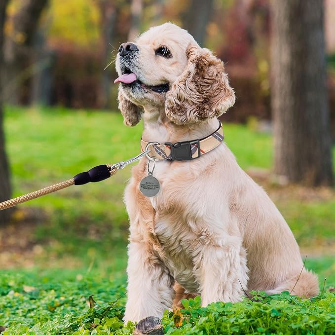 Nylon Dog Collar Soft Neoprene Padded Adjustable Dog Collars for Small Medium Large Dogs (L Neck 18.5"-23.5", Beige)