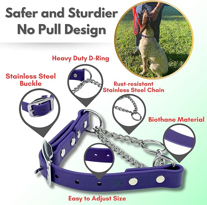 Martingale Collar for Dogs, Biothane, Stainless Steel Hardware, No Pull, Made in The USA, Professional Grade, Medium, Purple