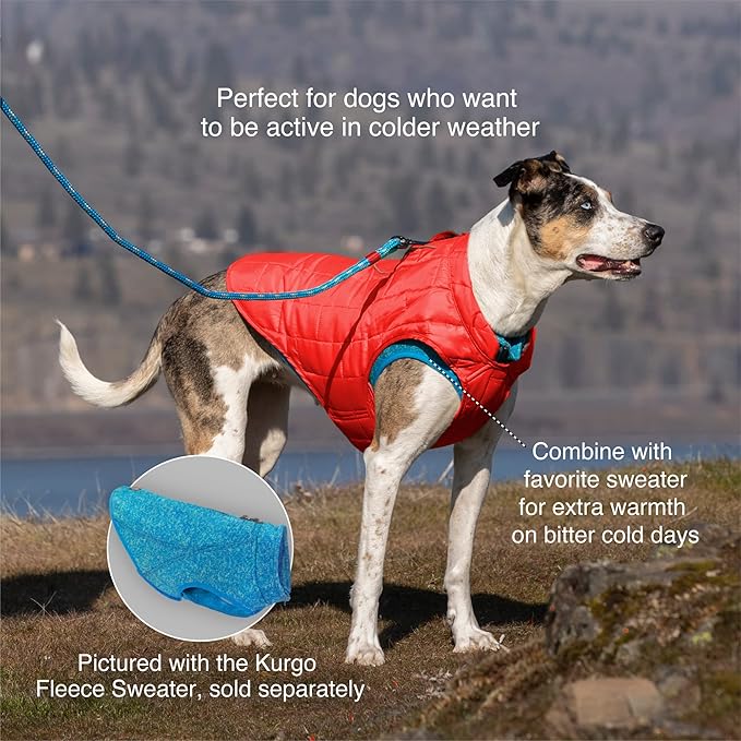 Kurgo Loft Dog Jacket, Reversible Dog Coat, Wear with Harness or Sweater, Water Resistant, Reflective, Winter Coat for Medium Dogs (Coastal Blue, M)