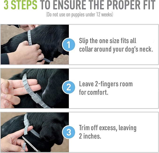 Flea & Tick Collar for Dogs & Puppies ; 2 Pack ; 12 Months Protection ; Adjustable One Size Collar Fits All Dogs 12 Weeks & Older ; Kills Fleas & Ticks ; Repels Mosquitoes (Excluding California)