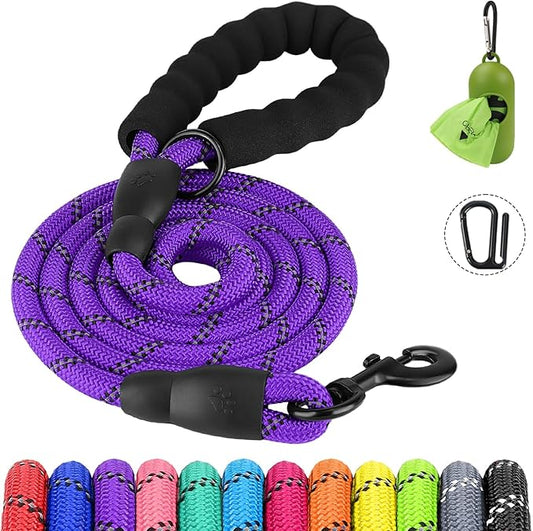 Joytale Reflective Dog Leash, Heavy Duty Nylon Rope with Poop Bag Holder, Highly Reflective Threads Leashes for Medium Large Dogs, Purple, 5'×1/2''