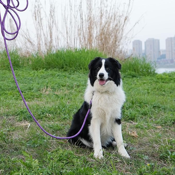 NTR Long Leash, 150FT Extra Long Leash for Large Breed Dog with Swivel Lockable Hook, Purple Heavy Duty Dog Lead for Walking, Hunting, Camping, Backyard