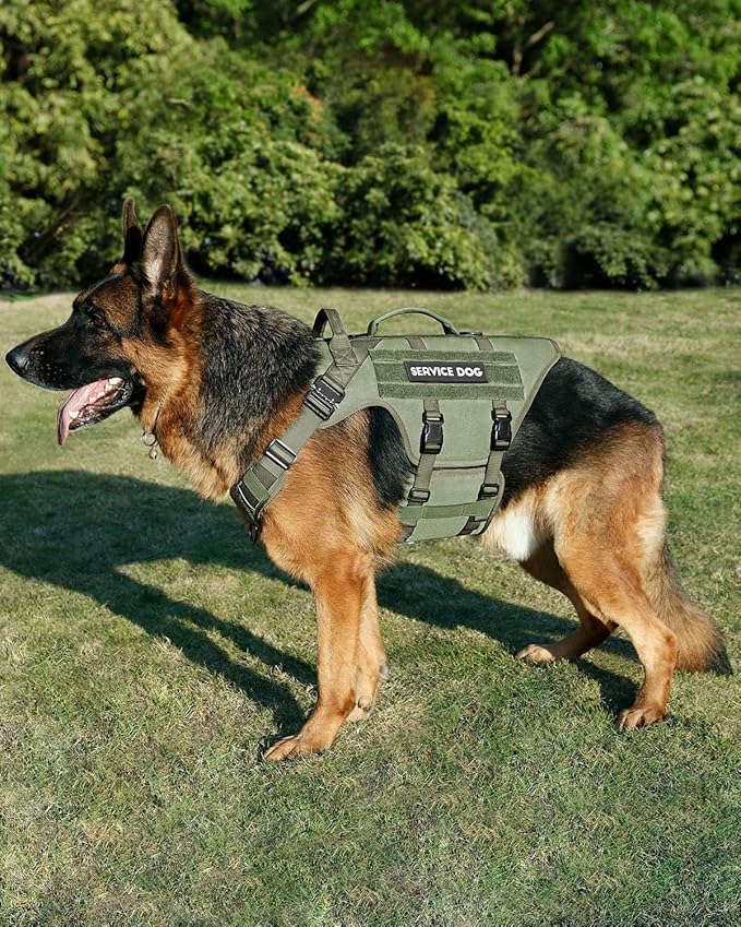 Tactical Dog Harness - PETNANNY Dog Harness Service Dog Vest for Large Breed Dog, Hook and Loop Panel for Service Dog Patchs, Work Dog MOLLE Vest with Handle for Walking Hiking Training(Green,L)