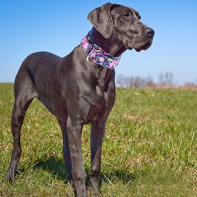 Martingale Dog Collar 1.5 Inch Wide - Bohemian Floral Print Adjustable Nylon No-Pull Training Collar for Large/XL Dogs, Heavy Duty Design for Walking, Hunting & Outdoor Activities (XL)