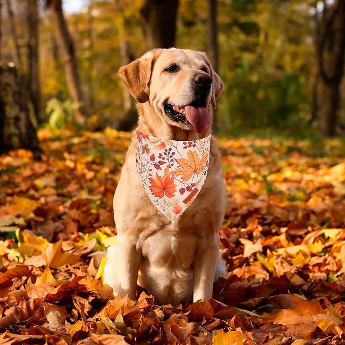 ADOGGYGO Fall Dog Bandana, Pumpkin Maple Leaf Autumn Thanksgiving Pet Scarf, Adjustable Fit Fall Bandanas for X-Large Dogs Pets (X-Large)