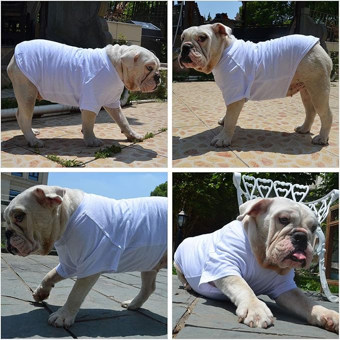 Lovelonglong Pet Clothing Dog Costumes Basic Blank T-Shirt Tee Shirts for Medium Large Dogs White XXL+