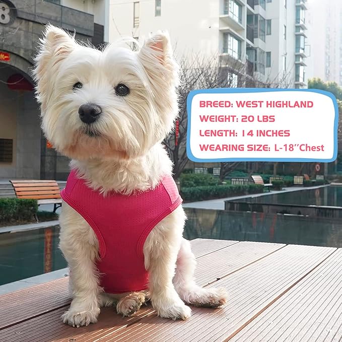 KYEESE 2 Pack Dog Shirt for Medium Dogs Breathable Lightweight T-Shirts with Reflective Label Tank Top Great for Summer Sleeveless Vest Dog Apparel Sun-blocking Strawberry Pattern, 2L, Strawberry+Rose