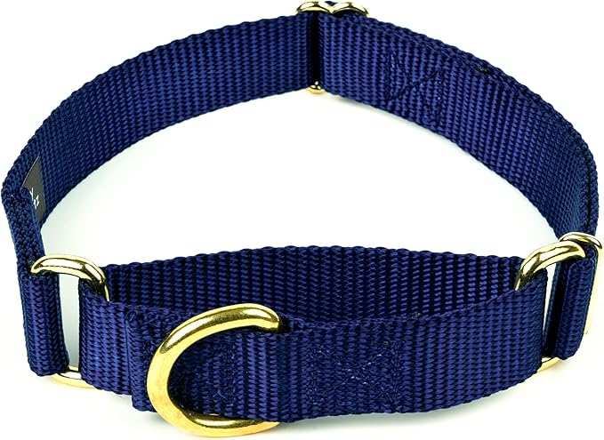 Country Brook Petz Martingale Dog Collar - Heavy-Duty Training Collar with No Buckle - Service Dog Collar for All Pups - Vibrant, Colorful Collection (Navy Blue, 3/4 Inch, Small)