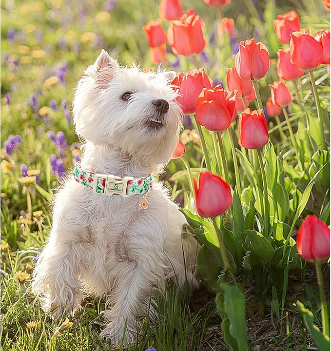 Lionheart glory Dog Collar Pink Flower Dogs Collar Summer Spring Cute Collars Dog Girl or Boy Soft Durable Adjustable Dog Collars for Small Dogs Pet Gift