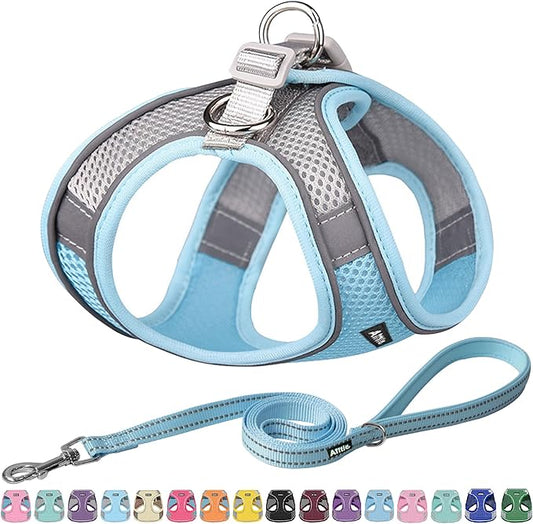 AIITLE Easy Walk Dog Harness and Leash Set - Pet Supply No Pull, Step in Adjustable Dog Harness with Padded Vest for Spring, Dog Harness No Choke Over, Easy to Put on Medium Dogs Blue L