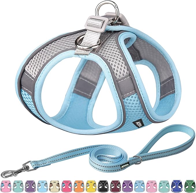 AIITLE Comfortable Dog Harness and Leash Set for Walking - Spring Step in Vest Harness,Reflective Bands, Adjustable No Pull Puppy Essentials, for Small Dogs and House Cats Blue XS