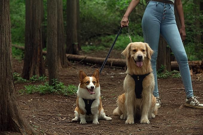 Dog Harness, No Pull Dogs Harness and Multi-Function Leash Set for Medium Dogs Easy Walk Everyday Adjustable Soft Dog Vest Harness Fashionable Dog Accessories Black-Button-M(16lb-35lb)