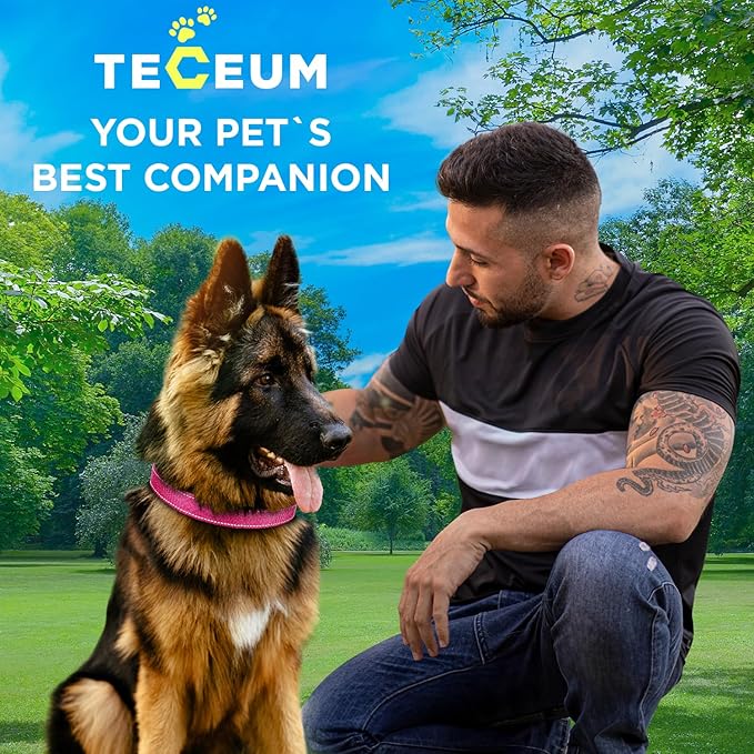 TECEUM Reflective Pet Collar – Hot Pink – L – Extra Soft Padding – Basic Nylon Dog Collar – Quick Release Buckle – Fits Small, Medium and Large Dogs, Puppies, Cats – ESA & Service Dog Options