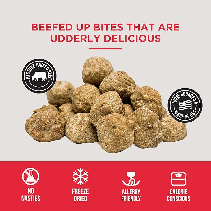 Natural Rapport Beef Meatball Dog Treats - The Only Beef Meatballs Dogs Need - All Natural Dog Treats for Small and Large Dogs (4 oz)