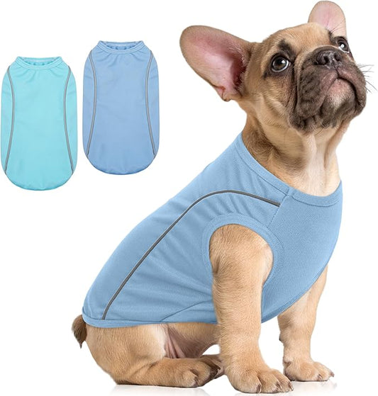 PUMYPOREITY 2Pack Mesh Dog Shirt, Dog T-Shirt with Reflective Strip Safety for Night Walking, Soft Breathable Stretchy Tank Top Vest, Stretchy Pet Shirt, Blue, M
