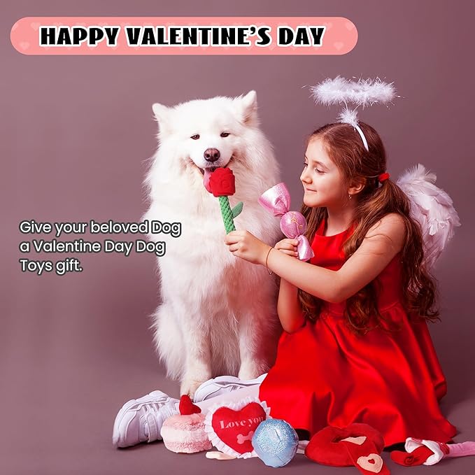 Nocciola Squeaky Dog Toys for Girls, Adorable Plush Ruffled Rose Heart Puppy Toy to Keep Them Busy, for Small, Medium and Large Breeds, 7 Pack