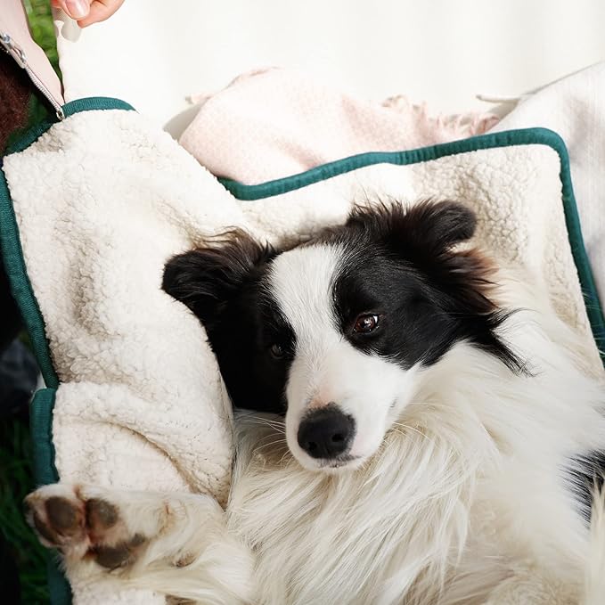 Bedsure Cat Blanket for Indoor Cats - Waterproof Calming Cat Blankets for Couch Bed Protection, Sherpa Fleece Pet Blanket, Soft Plush Reversible Throw Furniture Protector, 60"x50", Green