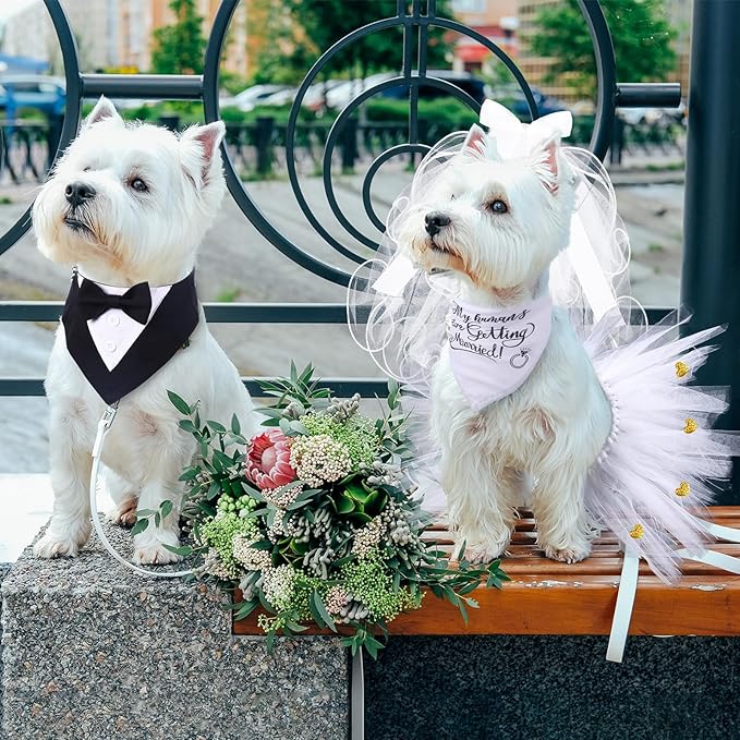 4 Pcs Dog Wedding Costume Set Include Veil with Clip, Bandana, Skirt, Adjustable Formal Bandana with Bowtie for Dog Bride Bridegroom Outfit Wedding Party(Medium)