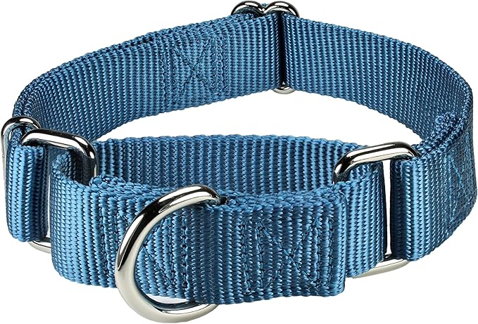 Mikivery Martingale Dog Collar Nylon Adjustable and Safety Training Colourful Comfortable Metal Buckle Pet Collars for Small Medium and Large Dogs