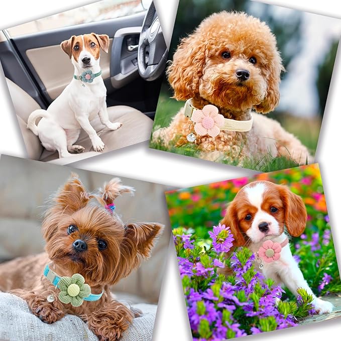 Small Dog Collar with Flower, Puppy Collars for Litter, XS Dog Collars for Small Dogs with Bell for Girl Boy Little Dog (Pink)