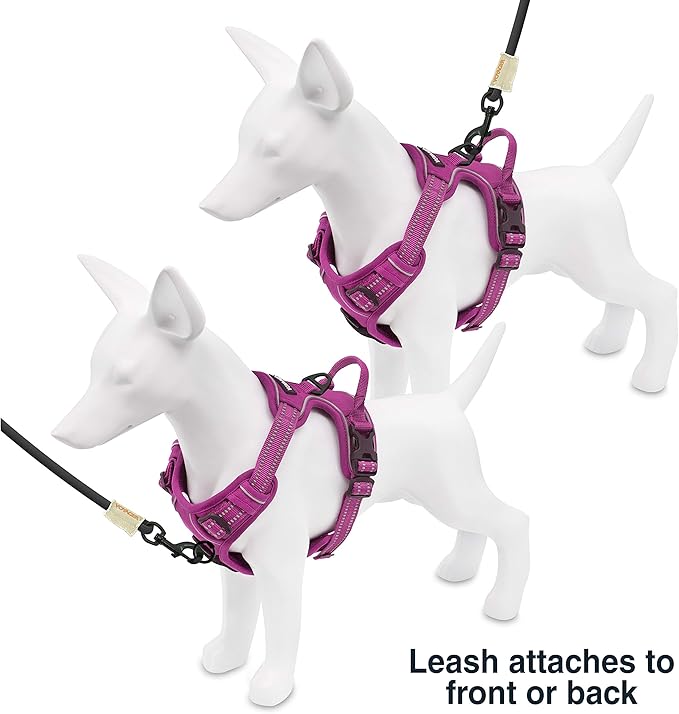 No Pull Dog Harness for Small Dogs, Dual Leash Attachments, Adjustable Soft but Strong Pet Harness with 3M Reflective Technology, Fuchsia Nylon, S (Chest: 16-20")