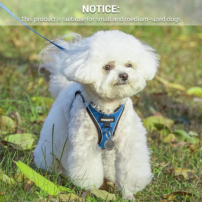 Dog Harness and Leash Set, Dog Harness for Dogs No Pull, No-Chock Step-in Reflective Breathable Lightweight Easy Walk Vest Harnesses with Safety Buckle for Small Medium Dogs, Cats (Blue, XL)