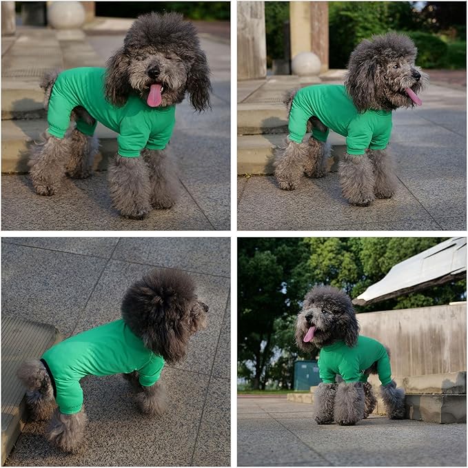 LoveLongLong Dog Jumpsuit with UV Protection and Quick-Dry Fabric for Spring Summer Pet Pajamas Leaf Green M
