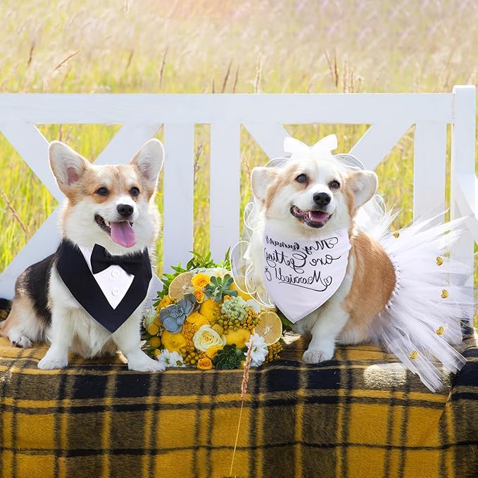 4 Pcs Dog Wedding Costume Set Include Veil with Clip, Bandana, Skirt, Adjustable Formal Bandana with Bowtie for Dog Bride Bridegroom Outfit Wedding Party(Medium)