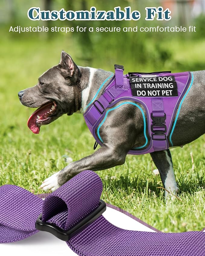 Reflective Purple Service Dog in Training Vest Harness Leash Set for Medium Dogs, Adjustable Heavy Duty Padded Dog Harness, with Front Clip and Metal Buckles Do Not Pet for Training, Hiking