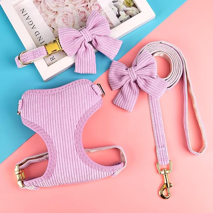 Didog Cute Small Dog Harness Collar & Leash Set, Adjustable Dog Collars and Leashes with Bowtie, Breathable Soft Mesh Padded Dog Vest for Puppies Small Dogs Walking, Purple, S