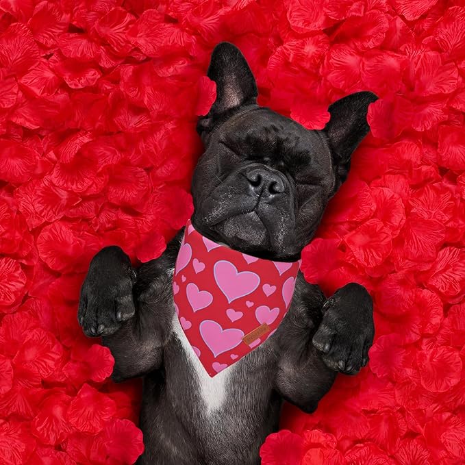 PTDECOR Valentine Dog Bandana, Reversible Valentine Pet Scarf, Multi Size, Red Heart Bandanas for Small Dogs (Small)