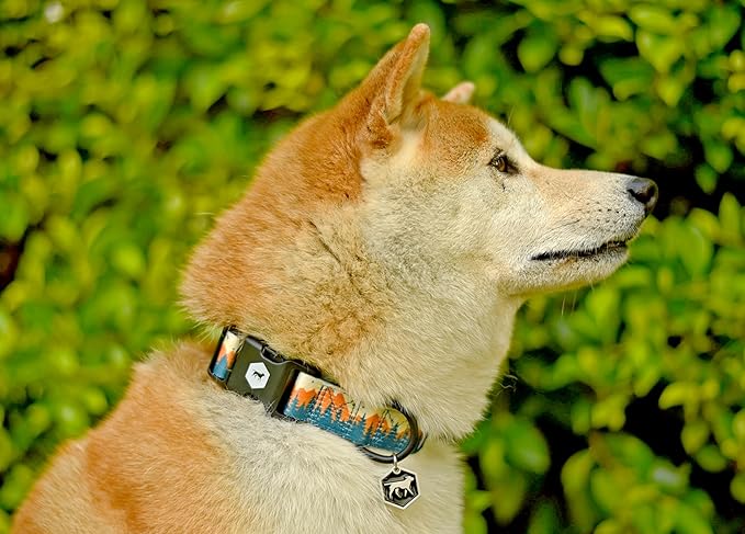Tuff Pupper Premium Adjustable Dog Collar for Extra Large Boy Dogs, Stylish Pattern Collars Designed in USA, Quick Release Buckle, RusticPine Print for Male Dogs, XL (1.25 Inch Wide x 20-30 Inch Neck)