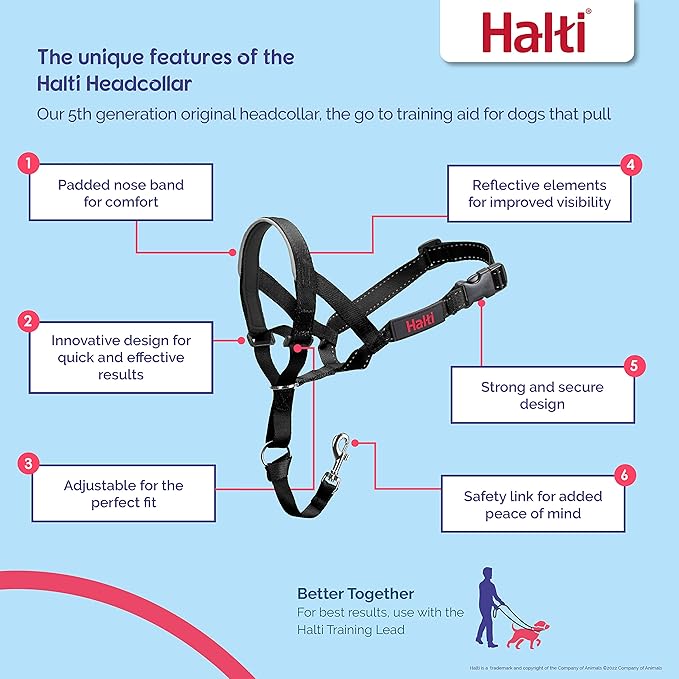 HALTI Headcollar - to Stop Your Dog Pulling on The Leash. Adjustable, Reflective and Lightweight, with Padded Nose Band. Dog Training Anti-Pull Collar for Small Dogs (Size 1, Burnt Orange)