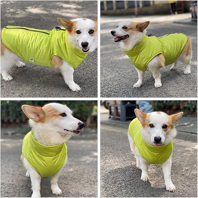 Winter Vest for Dogs, Waterproof & Windproof, Cotton Lined, Zippered Jacket, Breathable, Soft, Green, XS to L