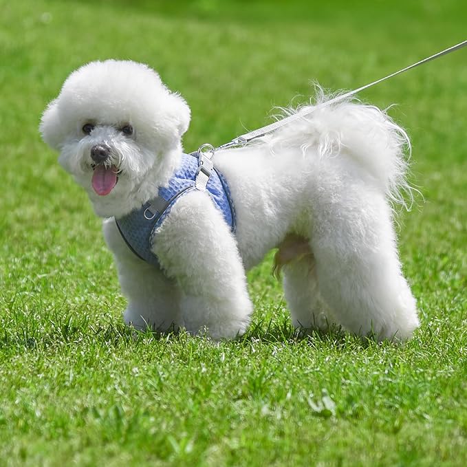 Soft Dog Harness and Leash Set for Walking, Summer Step in Vest Harness, Reflective Bands, Ultra Thin Breathable Pet Supplies, for Extra Small Dogs and House Cats Lavender XS