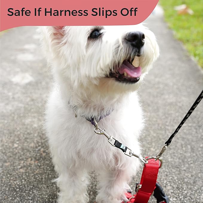 Gentle Creatures Collar Companion - Mini to Small Dogs Collar Backup Clip for Dog Harness, Prong Collar, Pinch Collar, Gentle Lead - Double Ended Backup Clasp - Harness to Collar Safety Clip